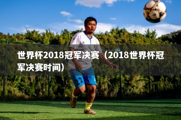 世界杯2018冠军决赛(2018世界杯冠军决赛时间)