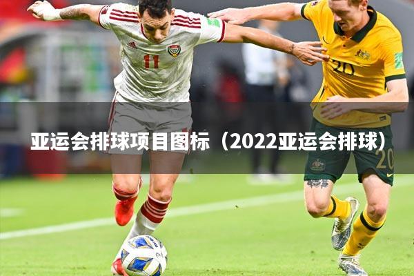 亚运会排球项目图标（2022亚运会排球）