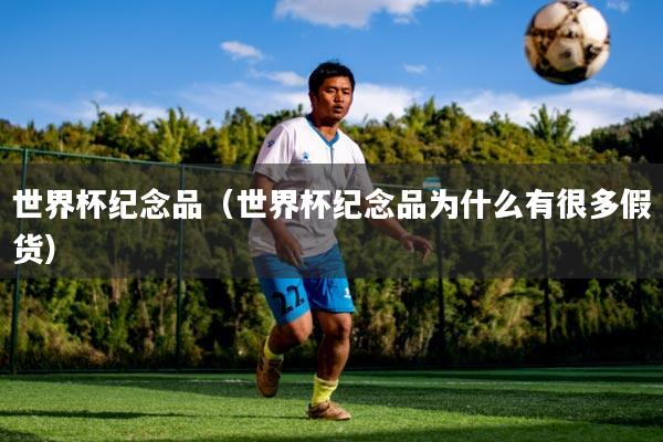 世界杯纪念品(世界杯纪念品为什么有很多假货)