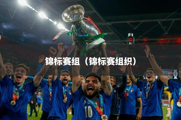 锦标赛组(锦标赛组织)