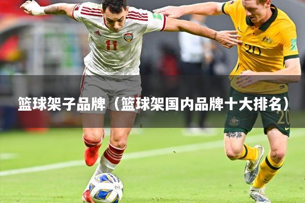 篮球架子品牌(篮球架国内品牌十大排名)