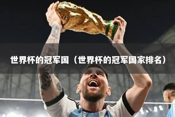 世界杯的冠军国(世界杯的冠军国家排名)