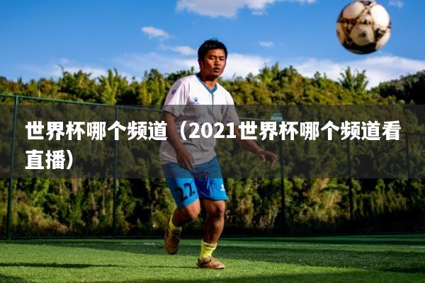 世界杯哪个频道(2021世界杯哪个频道看直播)