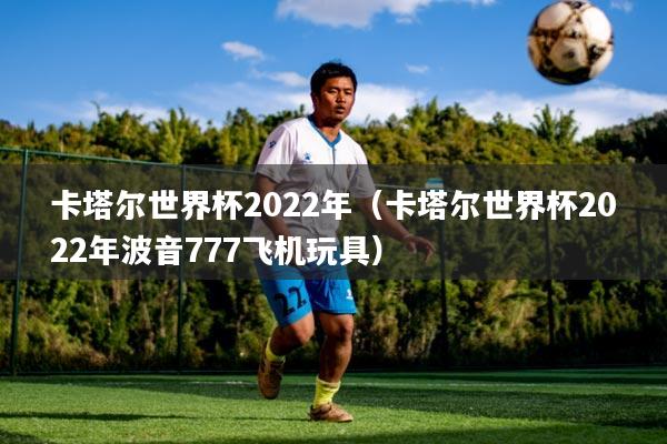 卡塔尔世界杯2022年(卡塔尔世界杯2022年波音777飞机玩具)