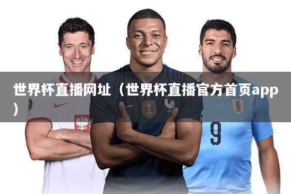 世界杯直播网址(世界杯直播官方首页app)