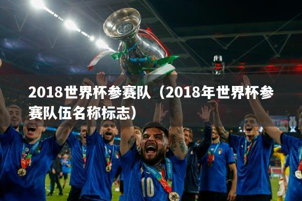 2018世界杯参赛队(2018年世界杯参赛队伍名称标志)