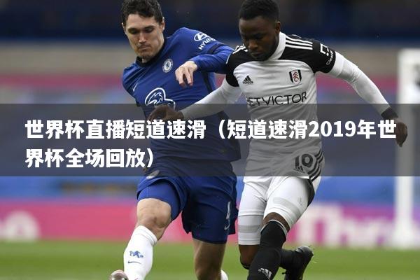 世界杯直播短道速滑(短道速滑2019年世界杯全场回放)