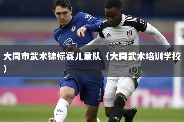 大同市武术锦标赛儿童队(大同武术培训学校)