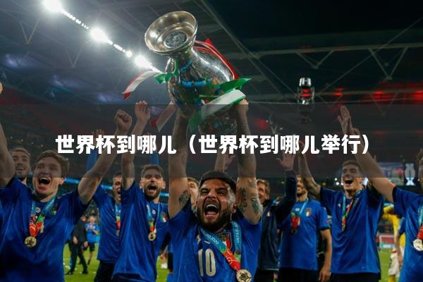 世界杯到哪儿（世界杯到哪儿举行）