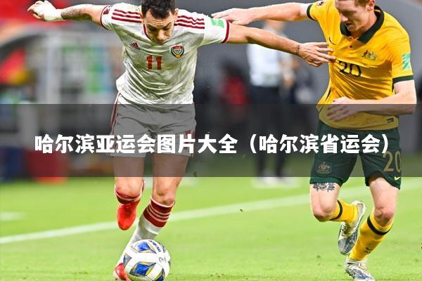 哈尔滨亚运会图片大全（哈尔滨省运会）