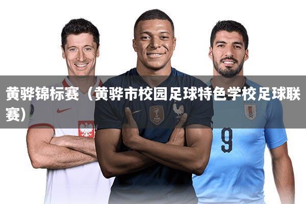 黄骅锦标赛（黄骅市校园足球特色学校足球联赛）