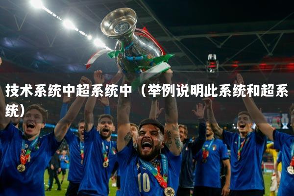 技术系统中超系统中（举例说明此系统和超系统）
