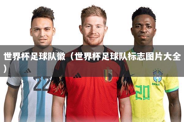 世界杯足球队徽（世界杯足球队标志图片大全）