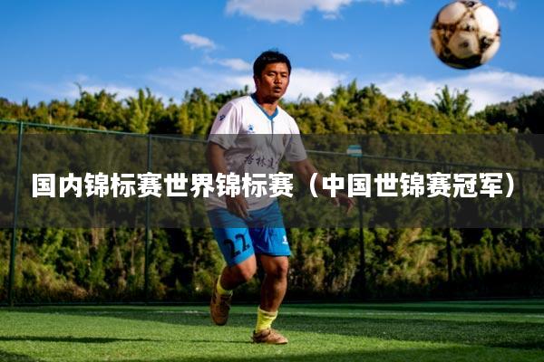国内锦标赛世界锦标赛（中国世锦赛冠军）