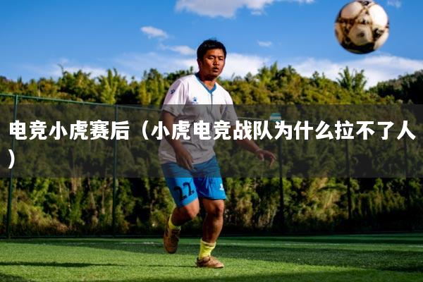 电竞小虎赛后（小虎电竞战队为什么拉不了人）