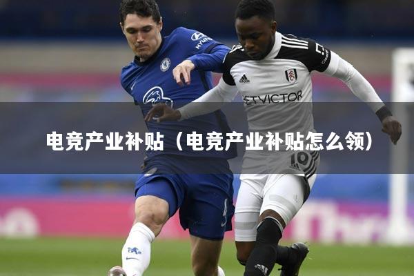 电竞产业补贴（电竞产业补贴怎么领）