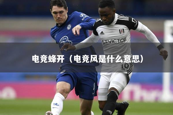 电竞蜂开（电竞风是什么意思）