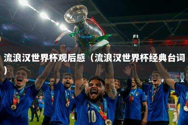 流浪汉世界杯观后感（流浪汉世界杯经典台词）