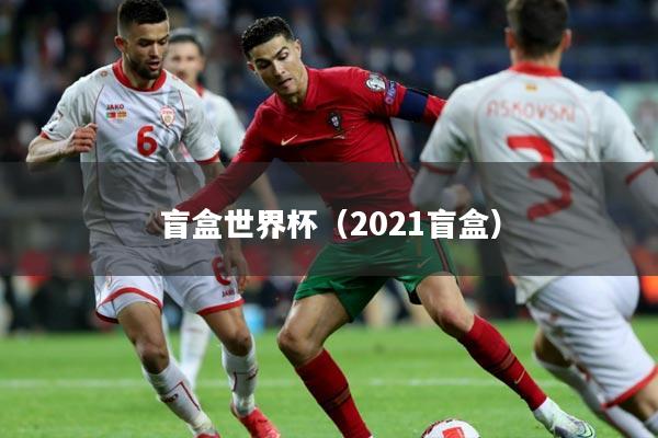 盲盒世界杯（2021盲盒）
