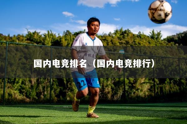 国内电竞排名（国内电竞排行）