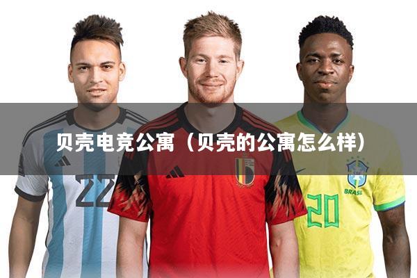 贝壳电竞公寓（贝壳的公寓怎么样）
