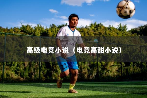 高级电竞小说（电竞高甜小说）