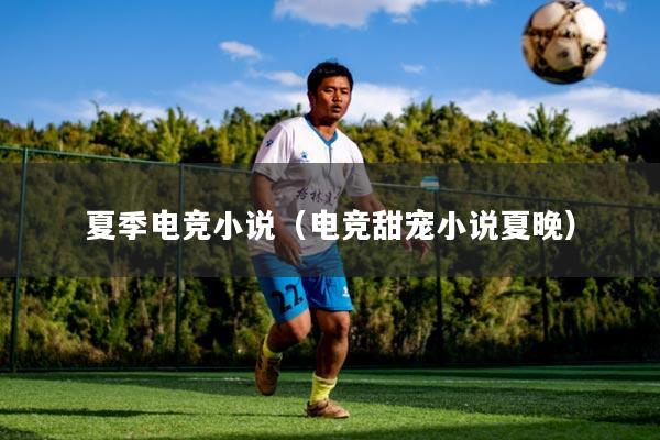 夏季电竞小说（电竞甜宠小说夏晚）