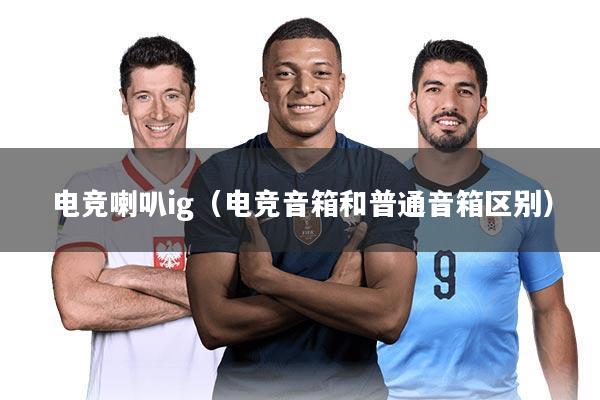 电竞喇叭ig（电竞音箱和普通音箱区别）