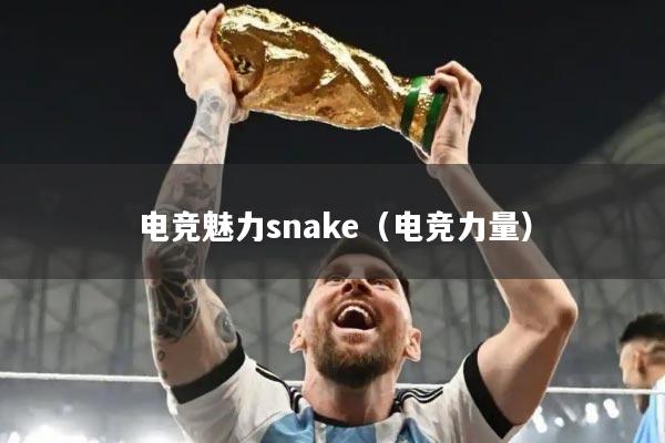 电竞魅力snake（电竞力量）